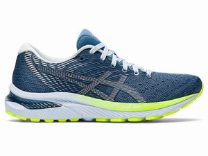 Asics GEL-CUMULUS 22 Löparskor Dam Grå Vita | HZOSUE781