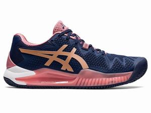 Asics GEL-RESOLUTION 8 CLAY Tennisskor Dam Rosa Marinblå Guld | ABUEZS187