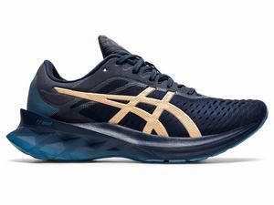 Asics NOVABLAST Löparskor Dam Blå | WNGLDQ392